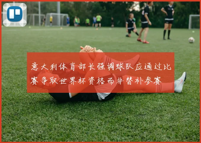 意大利体育部长强调球队应通过比赛争取世界杯资格而非替补参赛
